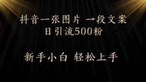每天2分钟，抖音一张图片 一段文案日引流500粉-星璨学社