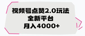 视频号点赞2.0玩法，全新平台， 月入4000+-星璨学社
