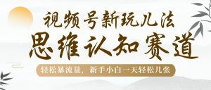 视频号新玩儿法，思维认知赛道，轻松暴流量，新手小白一天几张-星璨学社