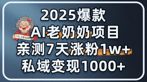 2025爆款 AI 老奶奶项目：亲测 7 天涨粉 1W+，私域变现 1000+-星璨学社